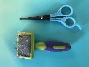Scissors and slicker brush